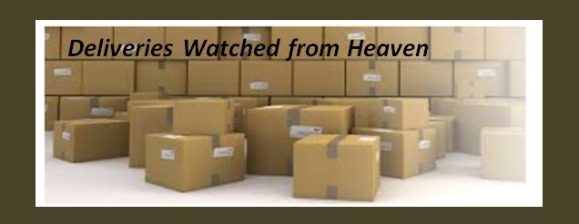 Blessings from Above