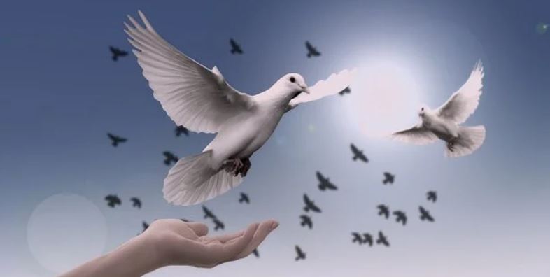 Allow God to Take&nbsp;It